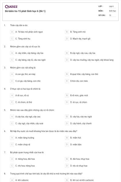 Đề kiểm tra 15 phút Sinh học 6 (Đề 1)