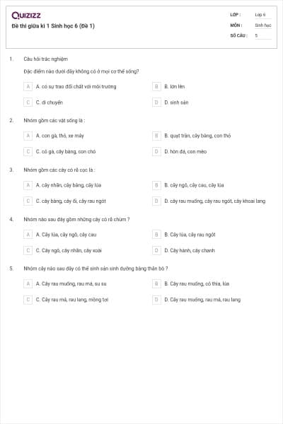 Đề thi giữa kì 1 Sinh học 6 (Đề 1)