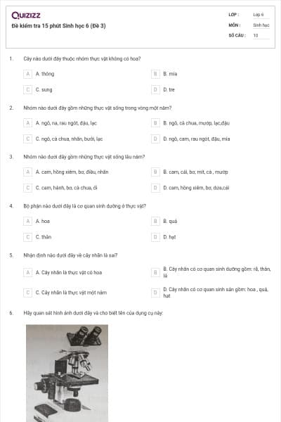Đề kiểm tra 15 phút Sinh học 6 (Đề 3)