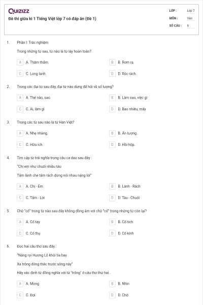 Đề thi giữa kì 1 Tiếng Việt lớp 7 có đáp án (Đề 1)