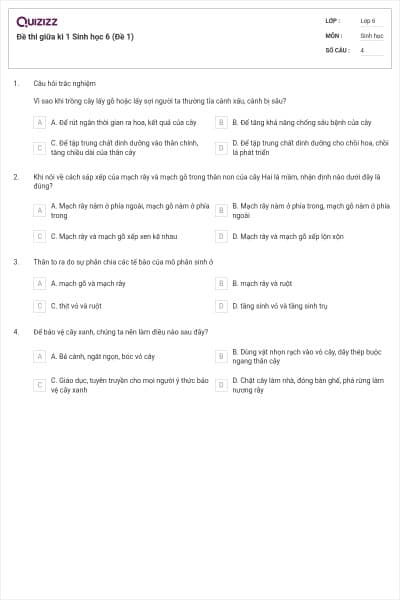 Đề thi giữa kì 1 Sinh học 6 (Đề 1)