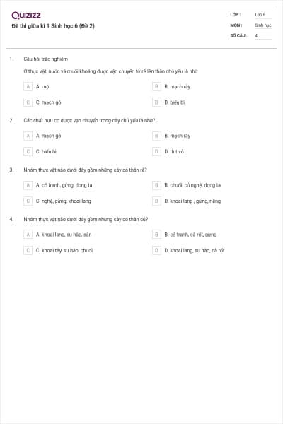 Đề thi giữa kì 1 Sinh học 6 (Đề 2)
