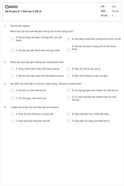 Đề thi giữa kì 1 Sinh học 6 (Đề 3)
