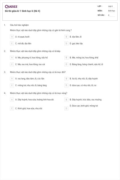 Đề thi giữa kì 1 Sinh học 6 (Đề 4)