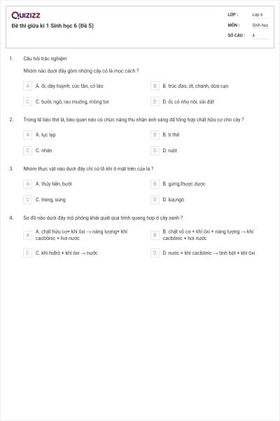 Đề thi giữa kì 1 Sinh học 6 (Đề 5)