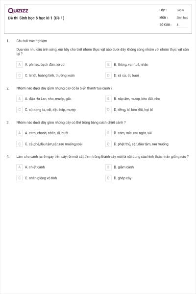 Đề thi Sinh học 6 học kì 1 (Đề 1)