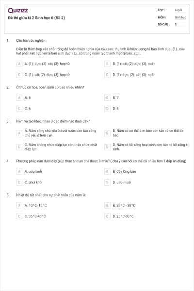 Đề thi giữa kì 2 Sinh học 6 (Đề 2)