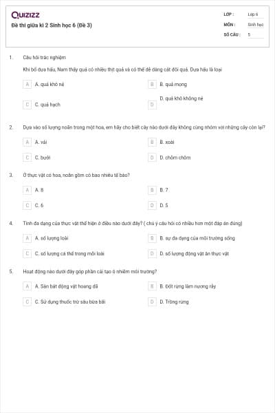 Đề thi giữa kì 2 Sinh học 6 (Đề 3)