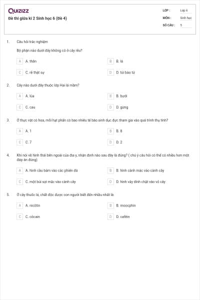 Đề thi giữa kì 2 Sinh học 6 (Đề 4)