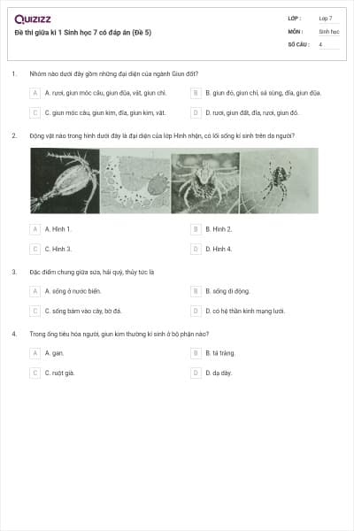 Đề thi giữa kì 1 Sinh học 7 có đáp án (Đề 5)