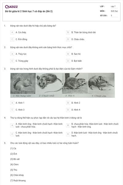 Đề thi giữa kì 2 Sinh học 7 có đáp án (Đề 2)