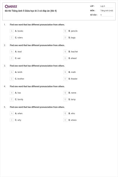 Đề thi Tiếng Anh 5 Giữa học kì 2 có đáp án (Đề 4)