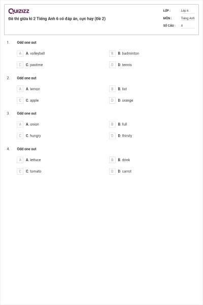 Đề thi giữa kì 2 Tiếng Anh 6 có đáp án, cực hay (Đề 2)