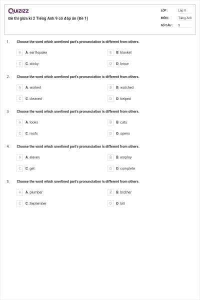 Đề thi giữa kì 2 Tiếng Anh 9 có đáp án (Đề 1)