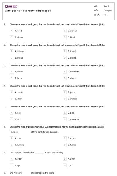 Đề thi giữa kì 2 Tiếng Anh 9 có đáp án (Đề 4)