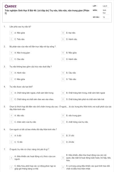 Trắc nghiệm Sinh Học 8 Bài 46: (có đáp án) Trụ não, tiểu não, não trung gian (Phần 2)