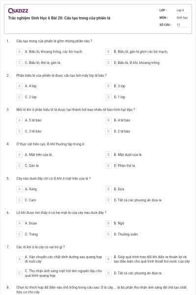 Trắc nghiệm Sinh Học 6 Bài 20: Cấu tạo trong của phiến lá