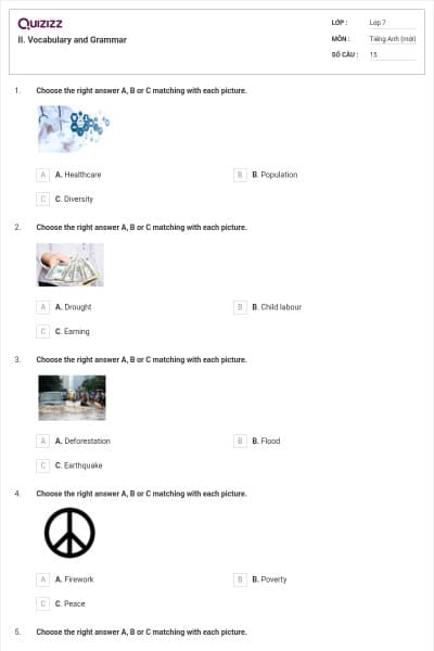 II. Vocabulary and Grammar