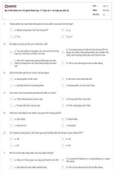 Bộ 4 Đề kiểm tra 15 phút Sinh học 11 Học kì 1 có đáp án (Đề 3)