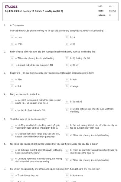 Bộ 4 Đề thi Sinh học lớp 11 Giữa kì 1 có đáp án (Đề 2)