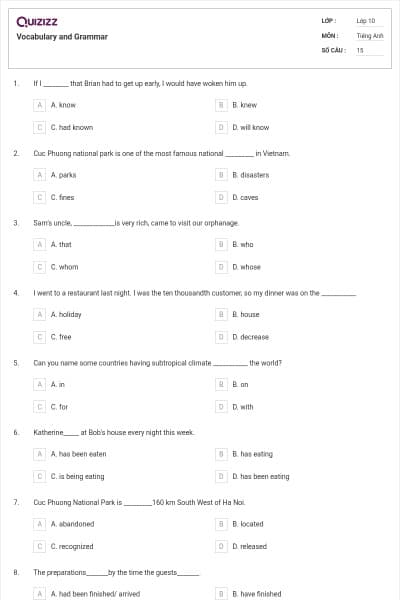 Vocabulary and Grammar