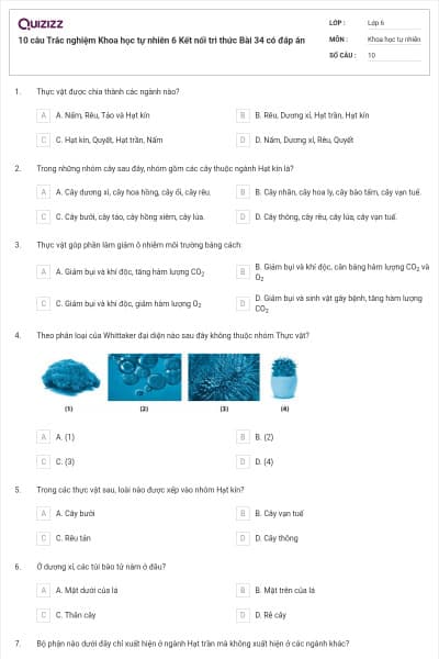 10 câu Trắc nghiệm Khoa học tự nhiên 6 Kết nối tri thức Bài 34 có đáp án