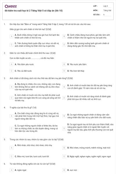 Đề kiểm tra cuối học kì 2 Tiếng Việt 5 có đáp án (Đề 10)