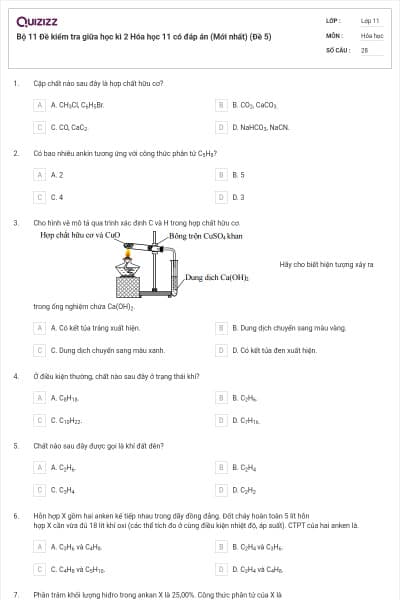Bộ 11 Đề kiểm tra giữa học kì 2 Hóa học 11 có đáp án (Mới nhất) (Đề 5)