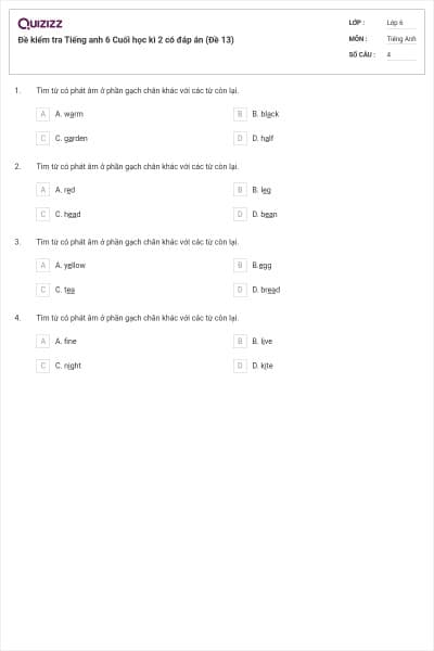 Đề kiểm tra Tiếng anh 6 Cuối học kì 2 có đáp án (Đề 13)