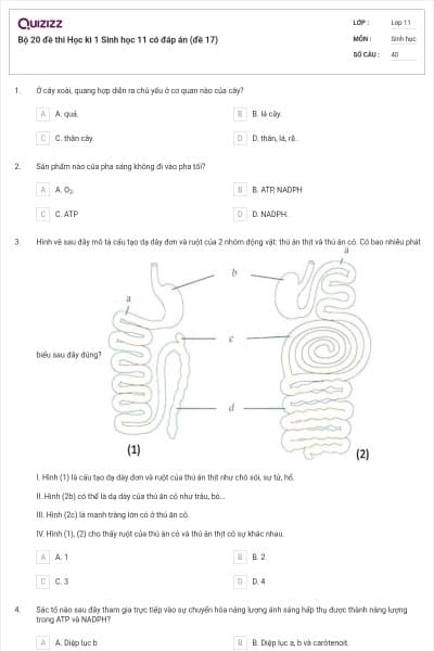 Bộ 20 đề thi Học kì 1 Sinh học 11 có đáp án (đề 17)
