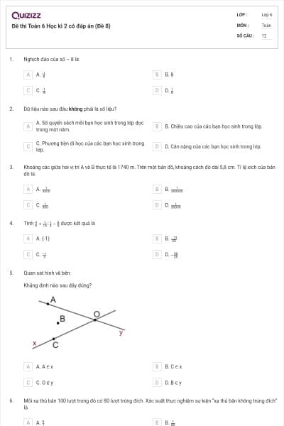 Đề thi Toán 6 Học kì 2 có đáp án (Đề 8)