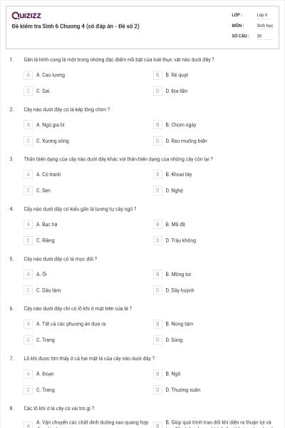 Đề kiểm tra Sinh 6 Chương 4 (có đáp án - Đề số 2)
