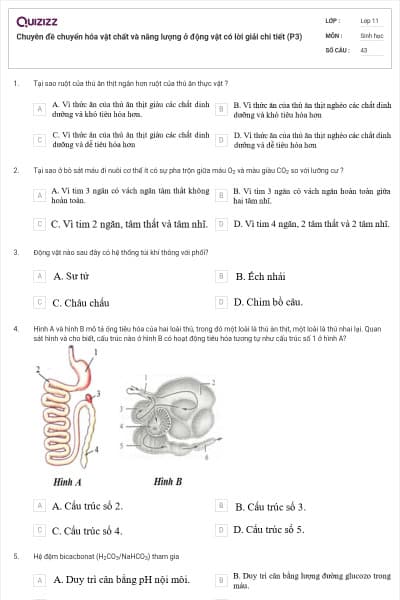 Chuyên đề chuyển hóa vật chất và năng lượng ở động vật có lời giải chi tiết (P3)