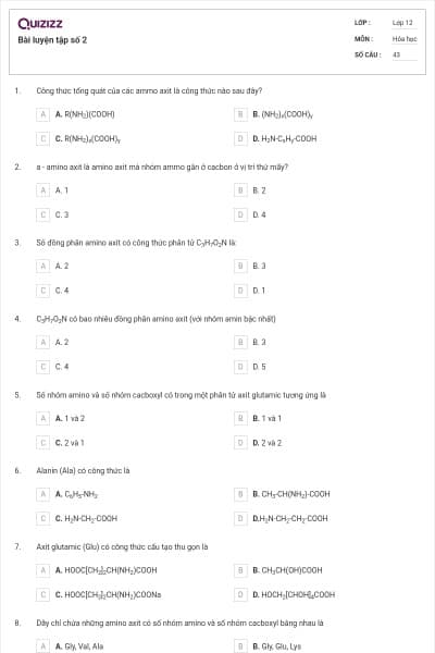 Bài luyện tập số 2