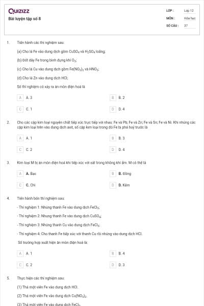 Bài luyện tập số 8