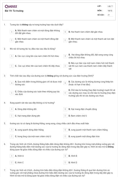 Bài 19: Từ trường