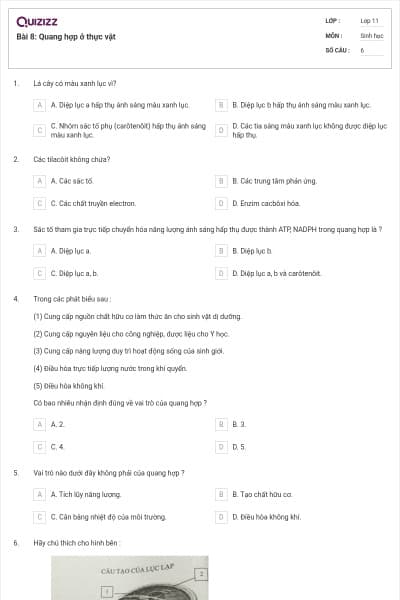 Bài 8: Quang hợp ở thực vật