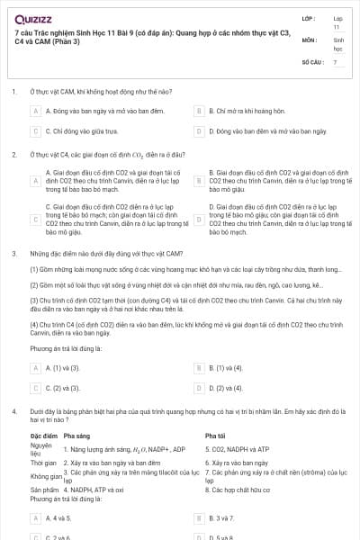 7 câu  Trắc nghiệm Sinh Học 11 Bài 9 (có đáp án): Quang hợp ở các nhóm thực vật C3, C4 và CAM (Phần 3)