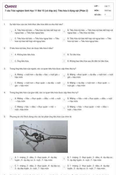 7 câu  Trắc nghiệm Sinh Học 11 Bài 15 (có đáp án): Tiêu hóa ở động vật (Phần 2)