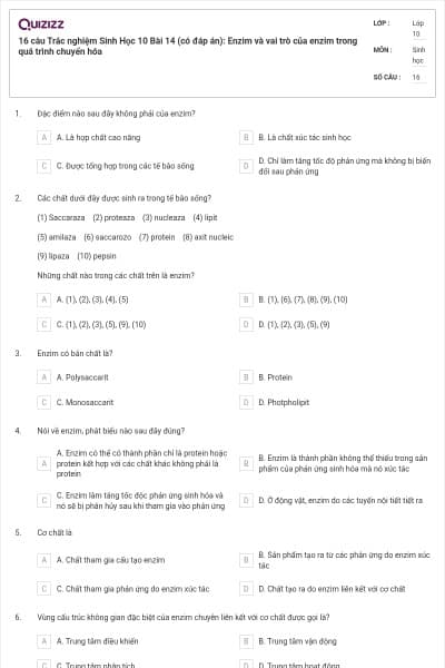 16 câu Trắc nghiệm Sinh Học 10 Bài 14 (có đáp án): Enzim và vai trò của enzim trong quá trình chuyển hóa