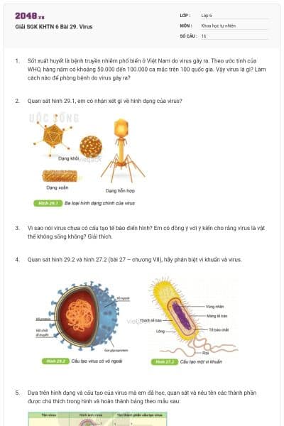 Giải SGK KHTN 6 Bài 29. Virus