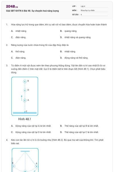 Giải SBT KHTN 6 Bài 48. Sự chuyển hoá năng lượng