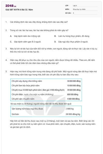 Giải SBT KHTN 6 Bài 32. Nấm