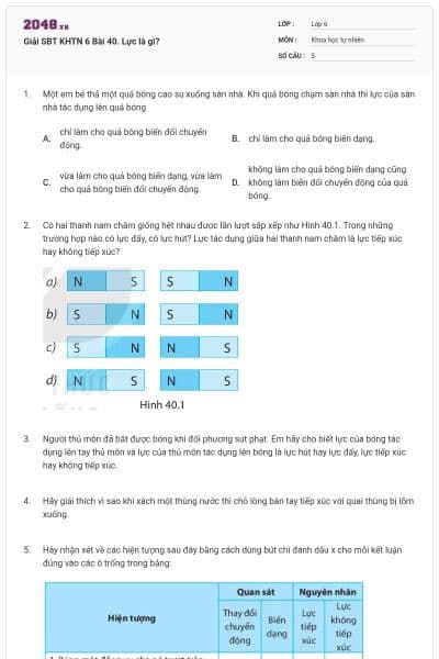 Giải SBT KHTN 6 Bài 40. Lực là gì?
