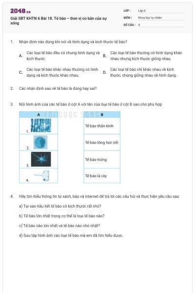 Giải SBT KHTN 6 Bài 18. Tế bào – Đơn vị cơ bản của sự sống