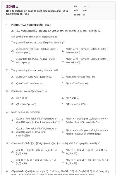 Bộ 5 đề thi Cuối kì 1 Toán 11 Cánh diều cấu trúc mới (có tự luận) có đáp án - Đề 3