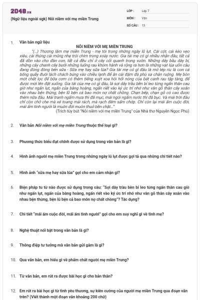 (Ngữ liệu ngoài sgk) Nỗi niềm với mẹ miền Trung