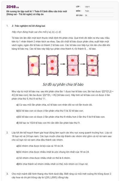 Đề cương ôn tập cuối kì 1 Toán 8 Cánh diều cấu trúc mới (Đúng sai - Trả lời ngắn) có đáp án