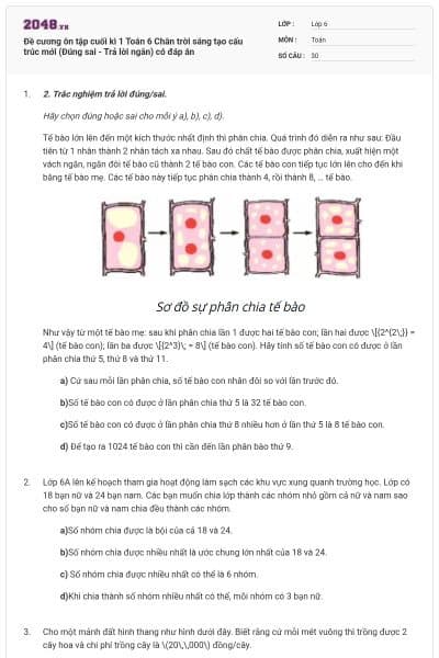 Đề cương ôn tập cuối kì 1 Toán 6 Chân trời sáng tạo cấu trúc mới (Đúng sai - Trả lời ngắn) có đáp án