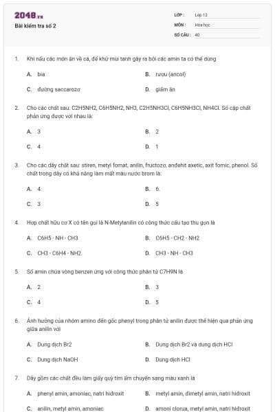 Bài kiểm tra số 2